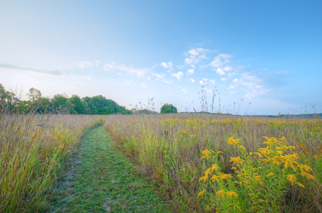 Tall Grass Prairie with path