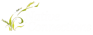 Native Connections Logo