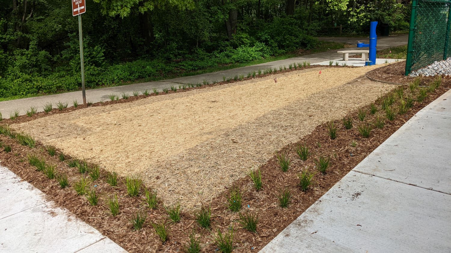 Portage Public Library Basic Shortgrass plot soon after planting