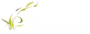 native connections logo